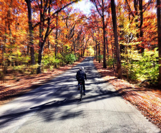 Coffeeneuring during foliage season