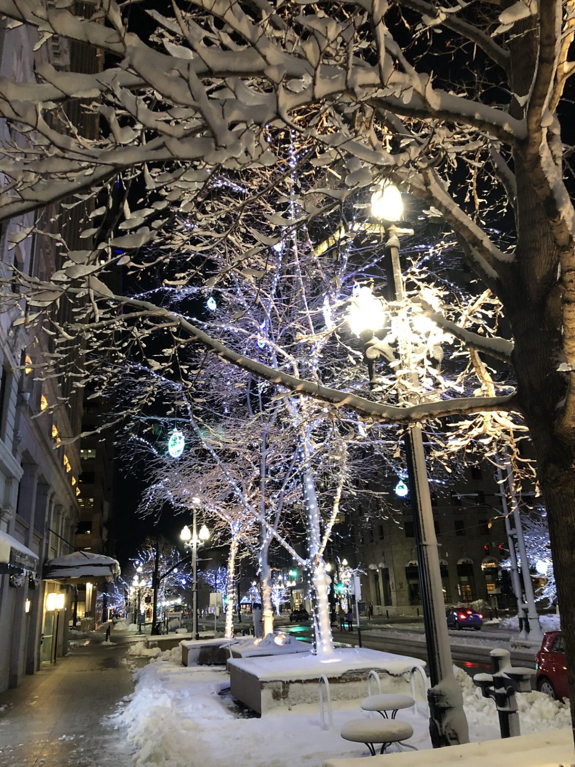 Snow covered trees on Main Street in Salt Lake City