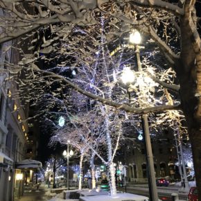 Snow covered trees on Main Street in Salt Lake City
